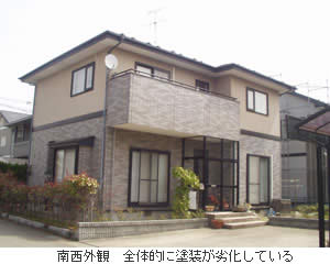 �r�t�H�[�ʐ^